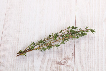 Thyme - aromatic seasoning herbal plant