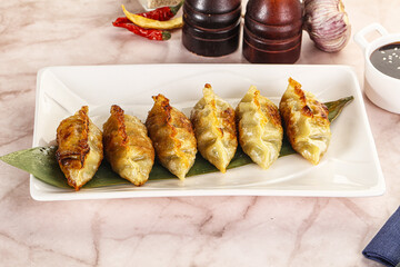 Fried Japanese stuffed dumplings - Gyoza