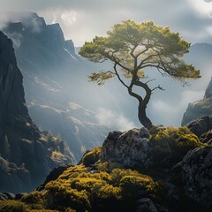 tree on the mountain beautiful nature view 
