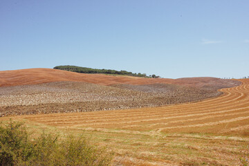Obraz premium Val d'Orcia in estate