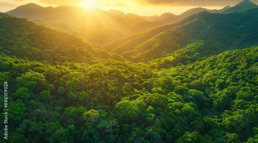 Canvas Prints sunrise over the mountains