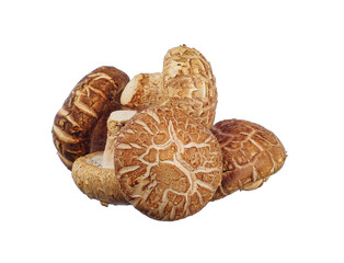 Shiitake mushrooms isolated on white background