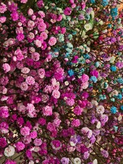 flowers as a background for artists