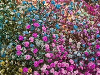 flowers as a background for artists