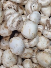 champignon mushrooms lie on store shelves