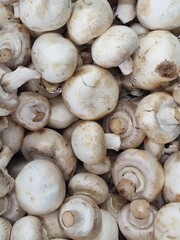 champignon mushrooms lie on store shelves