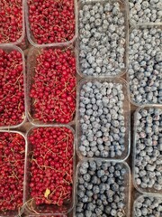 blueberries and raspberries lie on store shelves