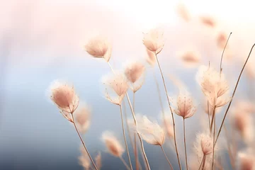 Crédence de cuisine  Beautiful dry grass flower on blurred nature background, soft focus.  © Creative