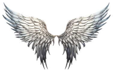 PNG Angel bird creativity archangel.