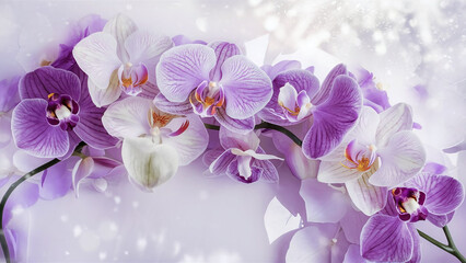 Illustration of exquisite orchid flowers with a soft light background, perfect for luxury greeting cards and elegant design themes. 