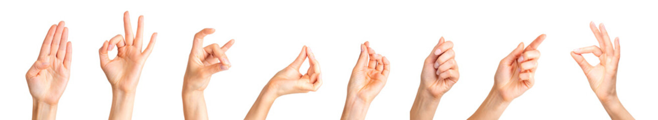 Set of woman hands showing different gestures, pointing and showing signs