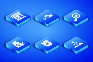 Set Planting marijuana, Marijuana and cannabis store, Shield, Medical bottle with, pills and Magnifying glass icon. Vector