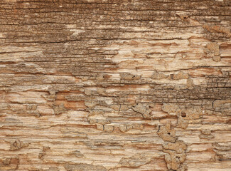 the rotten wood for background