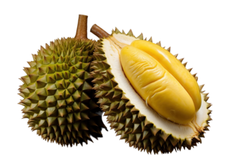 The Spiky Delight of a Ripe Durian Fruit Revealed on a White or Clear Surface PNG Transparent Background.