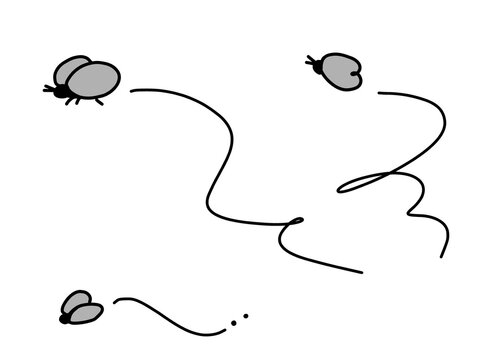 コバエのシンプルなイラスト