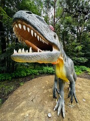 Allosaurus dinosaur. Realistic figure of an Allosaurus dinosaur inforest park in Kazimierz Sosnowiec. Prehistoric predator create a fascinating element of the landscape, attracting dinosaur lovers. © Chawran
