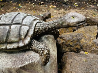 Realistic figure of an Turtle dinosaur inforest park in Kazimierz Sosnowiec. Prehistoric predator create a fascinating element of the landscape, attracting dinosaur lovers. Turtle dinosaur. © Chawran