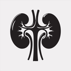 kidney vector silhouette on a white background