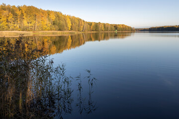 A calm lake with trees in the background