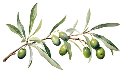 PNG Plant food leaf tree.