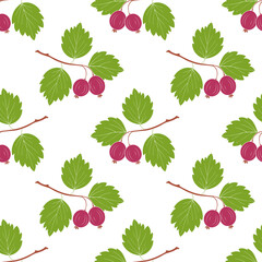 Pattern gooseberries on branch with leaves and ripe red berries, on white background.