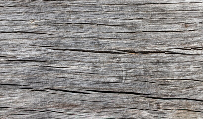 Wooden texture with natural patterns as a background. Cross-section of a tree