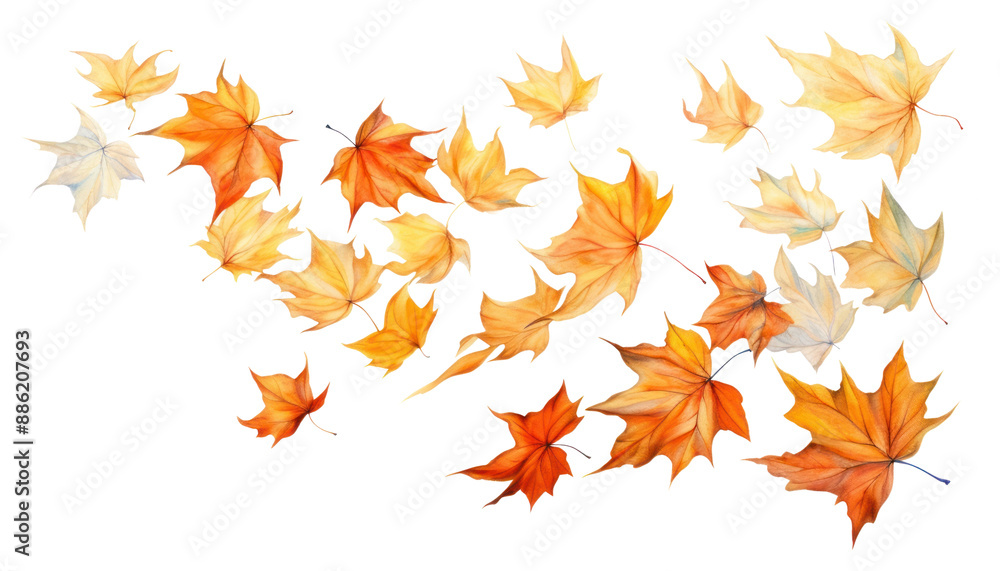 Sticker PNG Autumn maple plant leaf.