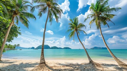 Picturesque view of the beach, blue sea, blue sky, coconut palms.