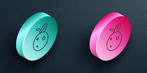 Isometric line Peach fruit or nectarine with leaf icon isolated on black background. Turquoise and pink circle button. Vector
