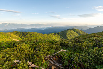 The trail from Mt. Senjogadake to Kitazawa Pass