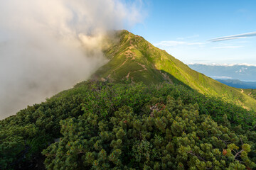 The trail from Mt. Senjogadake to Kitazawa Pass