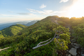 The trail from Mt. Senjogadake to Kitazawa Pass