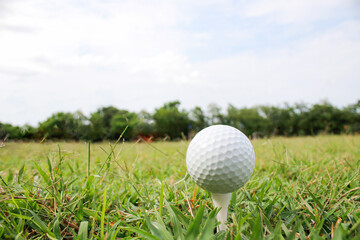 Golf balls and tees placed on the grass.