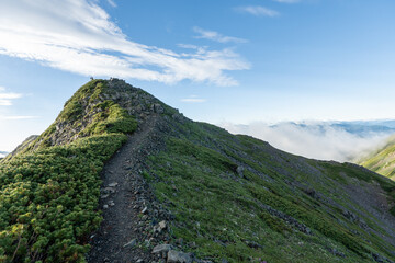 The trail from Mt. Senjogadake to Kitazawa Pass