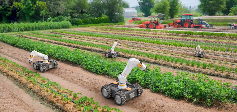 Agriculture technology with robot assistant on field
