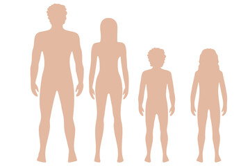 Vector illustration of full-length silhouettes of people. For study for medical and biological purposes. Picture for books, magazines and articles