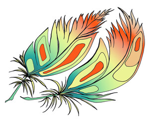 Bright fluffy plume or colorful leaves for a tattoo or fashion illustration. Isolated silhouette of exotic feathers for the Brazilian carnival. Ethnic decor. Cartoon image for a zoo or nature reserve.