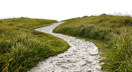 PNG  Serene winding grassy path