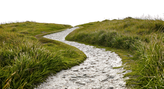 PNG  Serene winding grassy path