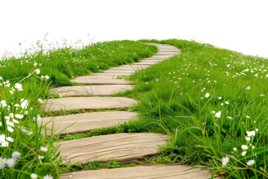 PNG  Serene path through lush meadow