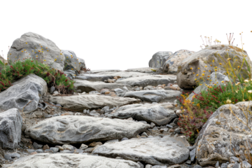 PNG  Rocky path with wildflowers