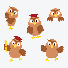 Owl cartoon with graduation hat