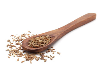 Front view of a wooden spoon filled with dry Organic Carrot (Daucus carota) seeds. Isolated on a white background.