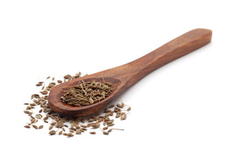 Front view of a wooden spoon filled with dry Organic Dill or Soya Saag (Anethum graveolens) seeds. Isolated on a white background.