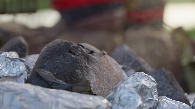 Close up, An Aboriginal man grabs a steaming hot foil wrapped potato off the hot stones in an indigenous cooking pit in the outback of Australia.