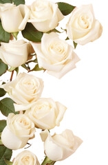 Obraz premium PNG White roses backgrounds flower petal.