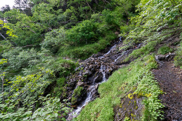 The trail from Mt. Senjogadake to Kitazawa Pass