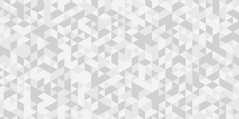 Abstract triangle polygonal white background. Modern abstract geometric polygon background. Abstract seamless polygon background vector illustration. White and gray Polygon Mosaic Background.