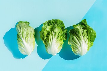 An ensalada of fresh lechuga encrusted over white bread and a green and white sauce. A superior view of the image.
