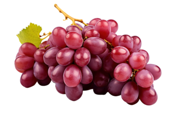 A Single Cluster of Vibrant Red Grapes Glowing Against a White Background on a White or Clear Surface PNG Transparent Background.